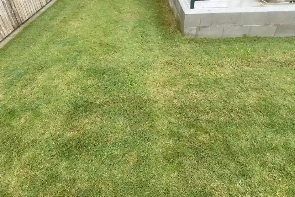 Body Corporate Gardening Brisbane