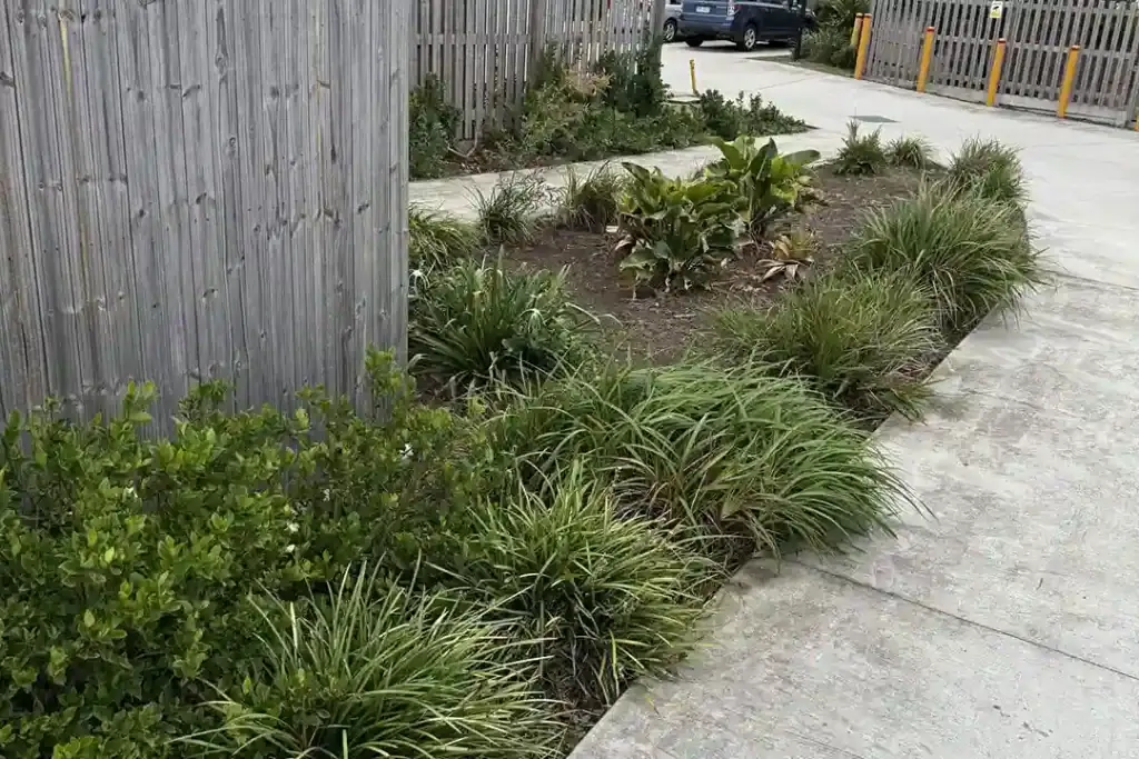 Commercial Garden Maintenance Brisbane