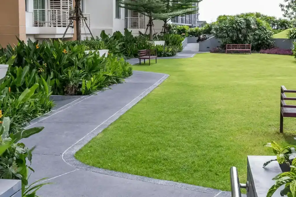 Commercial Gardening Service North Brisbane