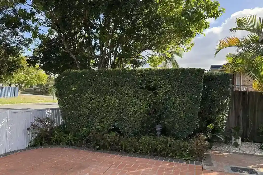 Commercial Gardening Service North Brisbane