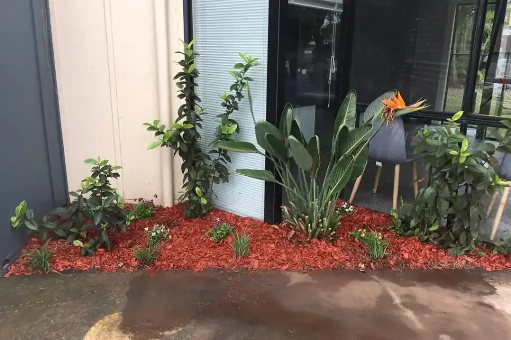 Commercial Gardening Service North Brisbane